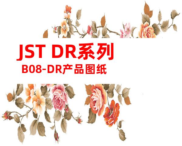 JST DR系列 B08-DR产品图纸